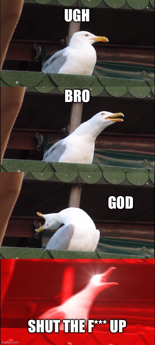 Inhaling Seagull | UGH; BRO; GOD; SHUT THE F*** UP | image tagged in memes,inhaling seagull | made w/ Imgflip meme maker