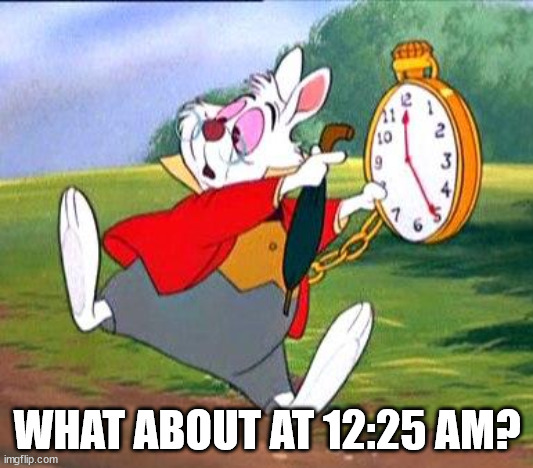 White Rabbit "I'm late!" | WHAT ABOUT AT 12:25 AM? | image tagged in white rabbit i'm late | made w/ Imgflip meme maker