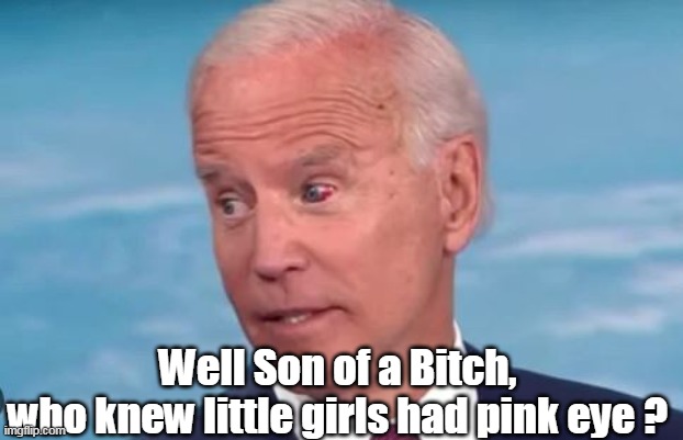 Well Son of a Bitch,
who knew little girls had pink eye ? | made w/ Imgflip meme maker