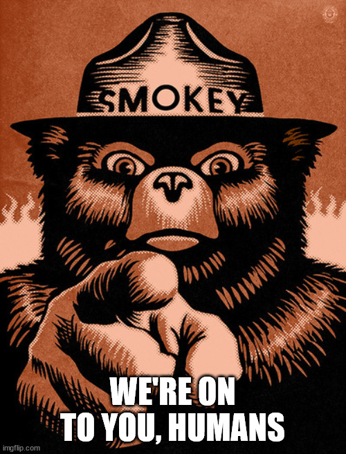 Smoky the Bear | WE'RE ON TO YOU, HUMANS | image tagged in smoky the bear | made w/ Imgflip meme maker