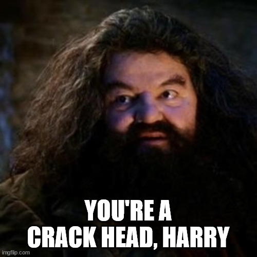 You're a wizard harry | YOU'RE A CRACK HEAD, HARRY | image tagged in you're a wizard harry | made w/ Imgflip meme maker