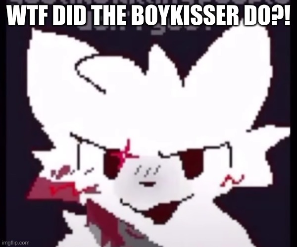 I don't feel safe ;-; | WTF DID THE BOYKISSER DO?! | image tagged in boykisser,people killer | made w/ Imgflip meme maker
