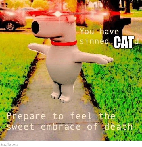 You have sinned child prepare to feel the sweet embrace of death | CAT | image tagged in you have sinned child prepare to feel the sweet embrace of death | made w/ Imgflip meme maker