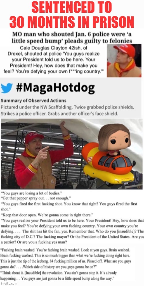 Oscar Mayer Wiener Sentenced | image tagged in domestic terrorists,treason,losers losing,ketchup on that,too old to cut the mustard | made w/ Imgflip meme maker