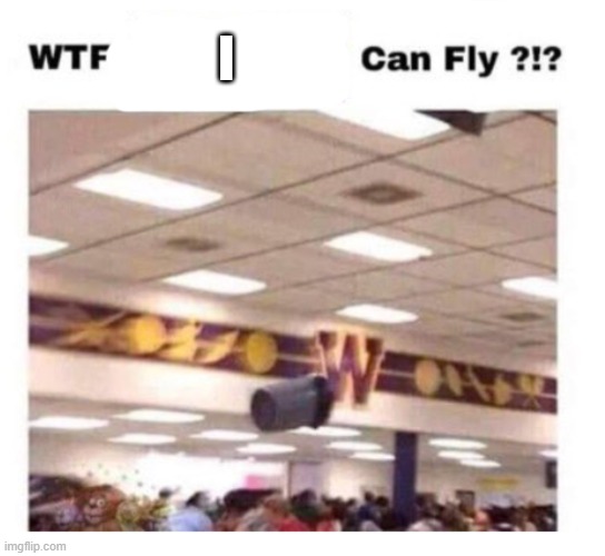 WTF --------- Can Fly ?!? | I | image tagged in wtf --------- can fly | made w/ Imgflip meme maker