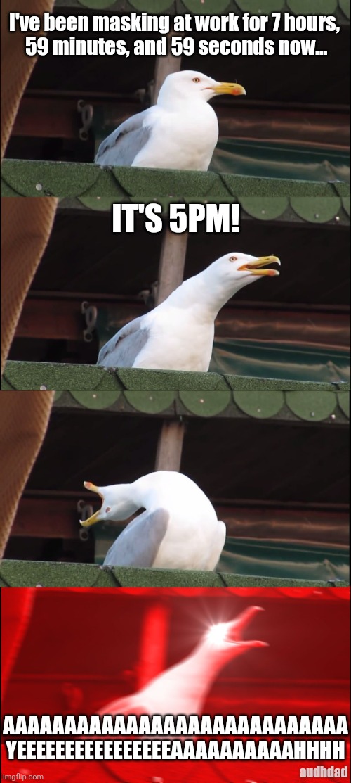 When you've been masking your ADHD/ASD all damn day | I've been masking at work for 7 hours,
 59 minutes, and 59 seconds now... IT'S 5PM! AAAAAAAAAAAAAAAAAAAAAAAAAAAA; YEEEEEEEEEEEEEEEEAAAAAAAAAAHHHH; audhdad | image tagged in memes,inhaling seagull,adhd,autism,masking,autistic | made w/ Imgflip meme maker