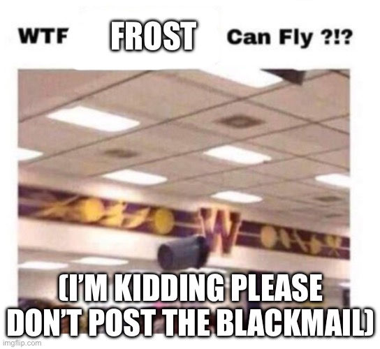 WTF --------- Can Fly ?!? | FROST; (I’M KIDDING PLEASE DON’T POST THE BLACKMAIL) | image tagged in wtf --------- can fly | made w/ Imgflip meme maker