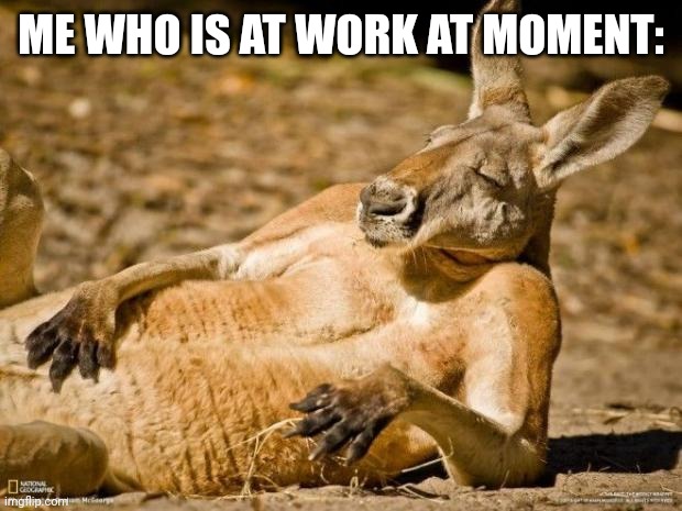 Chillin Kangaroo | ME WHO IS AT WORK AT MOMENT: | image tagged in chillin kangaroo | made w/ Imgflip meme maker