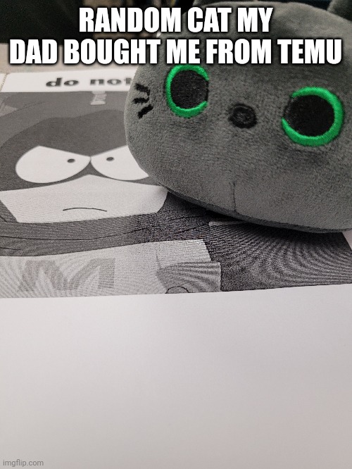 RANDOM CAT MY DAD BOUGHT ME FROM TEMU | made w/ Imgflip meme maker