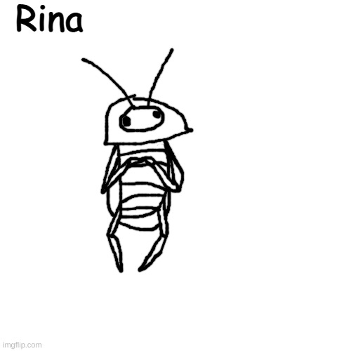 last known surviving roach in the entirety of hallownest | Rina | made w/ Imgflip meme maker