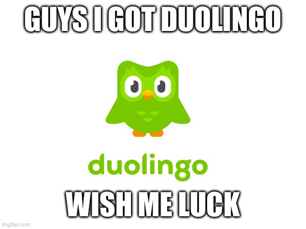 Hope I won’t die, see you! | GUYS I GOT DUOLINGO; WISH ME LUCK | image tagged in duolingo | made w/ Imgflip meme maker