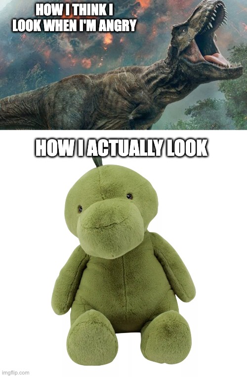 Angry dino / cuddly dino | HOW I THINK I LOOK WHEN I'M ANGRY; HOW I ACTUALLY LOOK | image tagged in angry,how i think i look | made w/ Imgflip meme maker