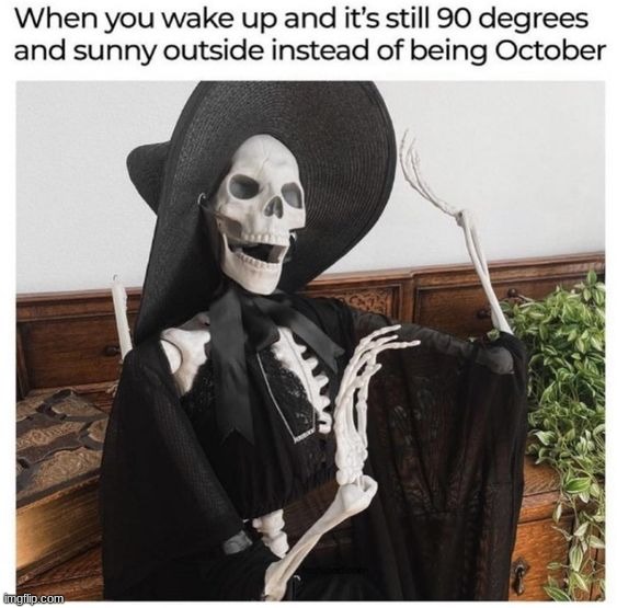 image tagged in memes,funny | made w/ Imgflip meme maker