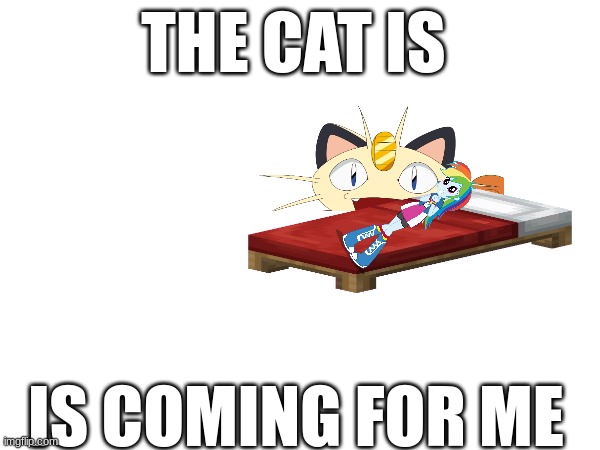THE CAT IS; IS COMING FOR ME | made w/ Imgflip meme maker