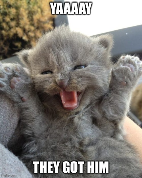 Yay Kitty | YAAAAY THEY GOT HIM | image tagged in yay kitty | made w/ Imgflip meme maker