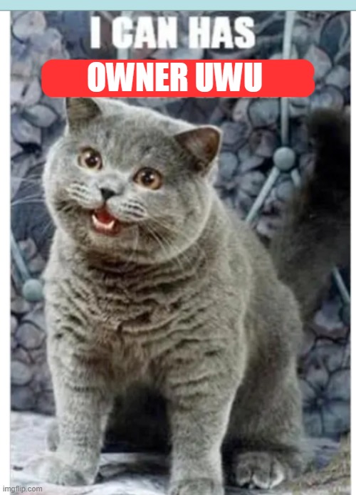 I can haz cat | OWNER UWU | image tagged in i can haz cat | made w/ Imgflip meme maker