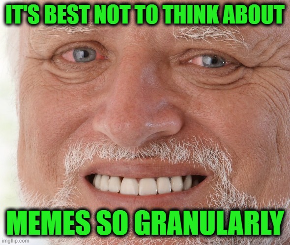 IT'S BEST NOT TO THINK ABOUT MEMES SO GRANULARLY | image tagged in hide the pain harold | made w/ Imgflip meme maker