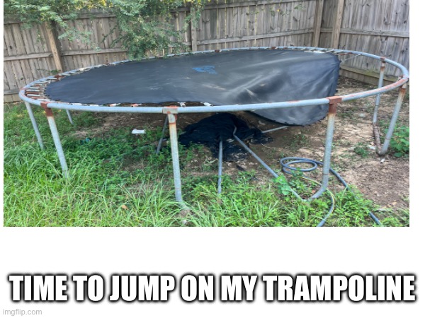 Bruh | TIME TO JUMP ON MY TRAMPOLINE | image tagged in trampoline,funny memes,bruh moment | made w/ Imgflip meme maker