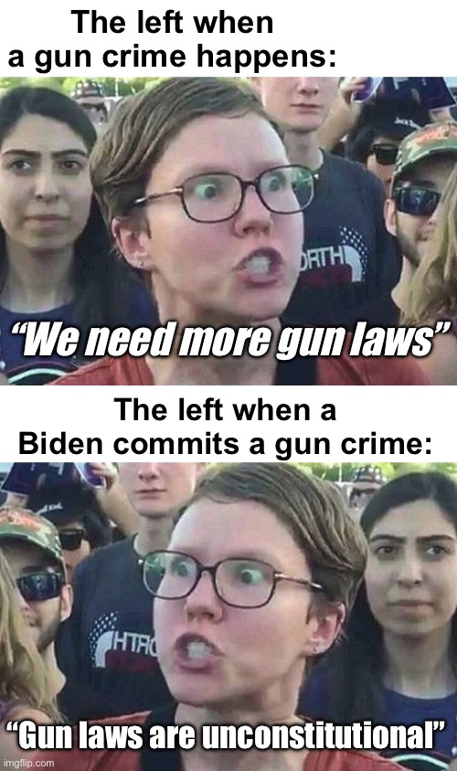 Gun laws are unconstitutional for the elite according to the left | The left when a gun crime happens:; “We need more gun laws”; The left when a Biden commits a gun crime:; “Gun laws are unconstitutional” | image tagged in triggered liberal,politics lol,derp,liberal logic | made w/ Imgflip meme maker