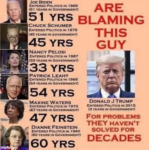 TERM LIMITS NOW! | image tagged in schumer-biden-pelosi-leahy-water | made w/ Imgflip meme maker