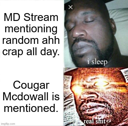 (LaLa note: true) (N note: fr) | MD Stream mentioning random ahh crap all day. Cougar Mcdowall is mentioned. | image tagged in memes,sleeping shaq | made w/ Imgflip meme maker