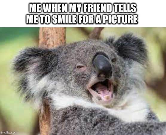 Happy Koala | ME WHEN MY FRIEND TELLS ME TO SMILE FOR A PICTURE | image tagged in happy koala | made w/ Imgflip meme maker