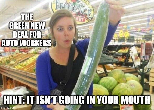 How does it feel to be betrayed? | THE GREEN NEW DEAL FOR AUTO WORKERS; HINT: IT ISN’T GOING IN YOUR MOUTH | image tagged in the adult toy store is closed,global warming,climate change,politics,stupid liberals,liberal hypocrisy | made w/ Imgflip meme maker