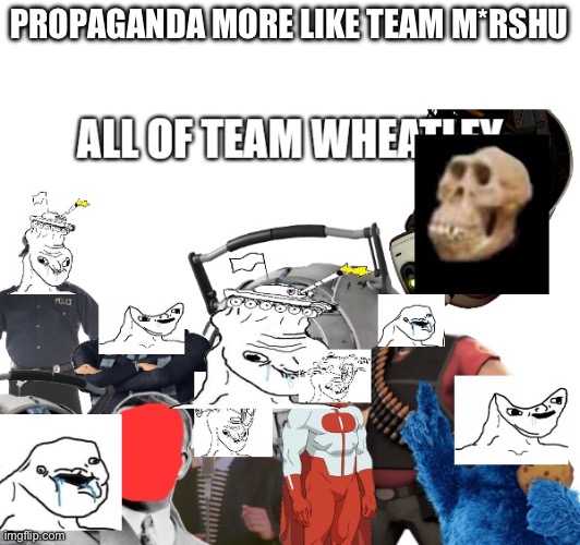 All of Team W******y | PROPAGANDA MORE LIKE TEAM M*RSHU | image tagged in all of team w y | made w/ Imgflip meme maker