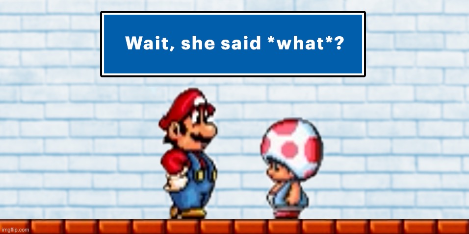 Give context | image tagged in mario and toad wait she said what | made w/ Imgflip meme maker