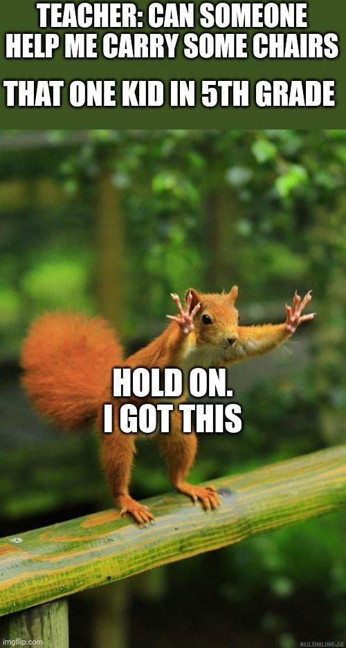 Wait a Minute Squirrel | TEACHER: CAN SOMEONE HELP ME CARRY SOME CHAIRS; THAT ONE KID IN 5TH GRADE; HOLD ON. I GOT THIS | image tagged in wait a minute squirrel | made w/ Imgflip meme maker