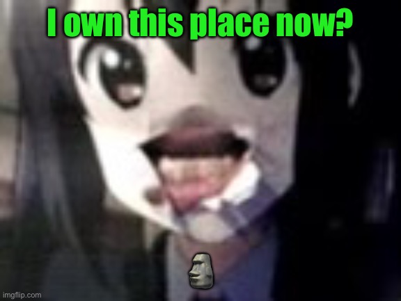 Amagunabustanut | I own this place now? 🗿 | image tagged in guh | made w/ Imgflip meme maker