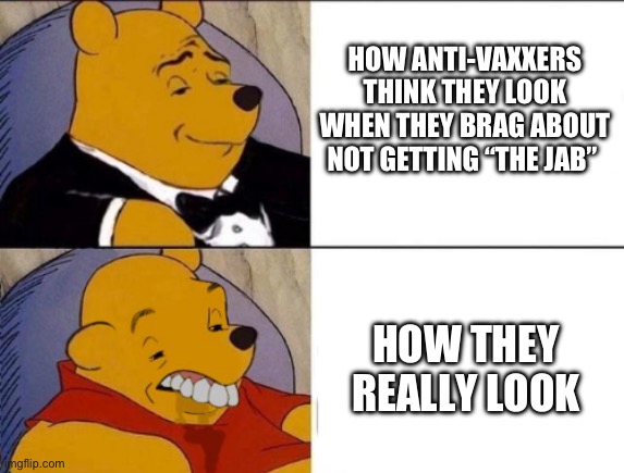 Pardon me, but your ignorance is showing | HOW ANTI-VAXXERS THINK THEY LOOK WHEN THEY BRAG ABOUT NOT GETTING “THE JAB”; HOW THEY REALLY LOOK | image tagged in classy and dumb pooh,vaccines | made w/ Imgflip meme maker