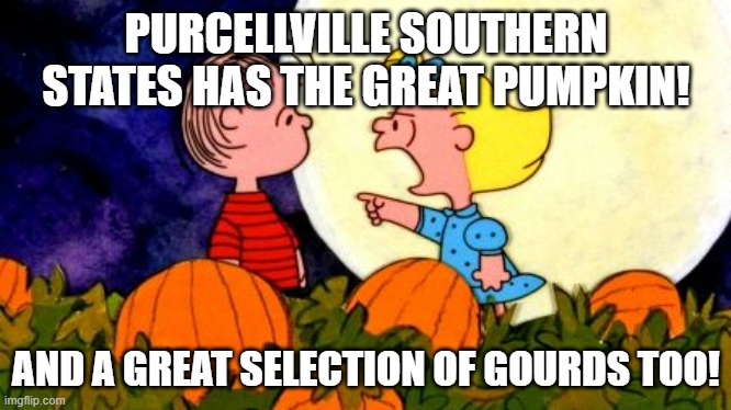 Great pumpkin | PURCELLVILLE SOUTHERN STATES HAS THE GREAT PUMPKIN! AND A GREAT SELECTION OF GOURDS TOO! | image tagged in great pumpkin | made w/ Imgflip meme maker