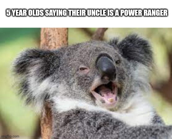 Happy Koala | 5 YEAR OLDS SAYING THEIR UNCLE IS A POWER RANGER | image tagged in happy koala | made w/ Imgflip meme maker