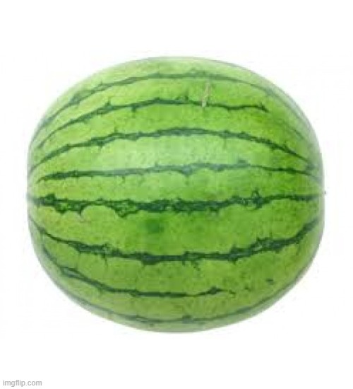 watermelon!:3 | image tagged in watermelon | made w/ Imgflip meme maker