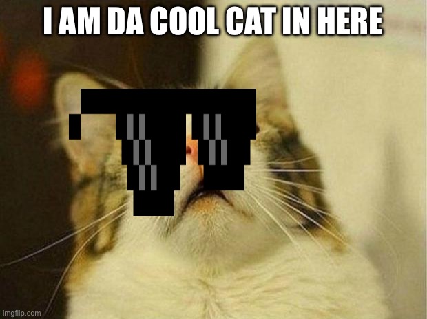 I am da kool kat | I AM DA COOL CAT IN HERE | image tagged in fun,gaming,cat,cute kittens | made w/ Imgflip meme maker