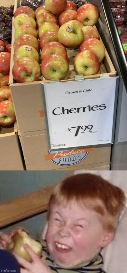 Apples | image tagged in kid eating apple,apples,apple,you had one job,memes,fruits | made w/ Imgflip meme maker
