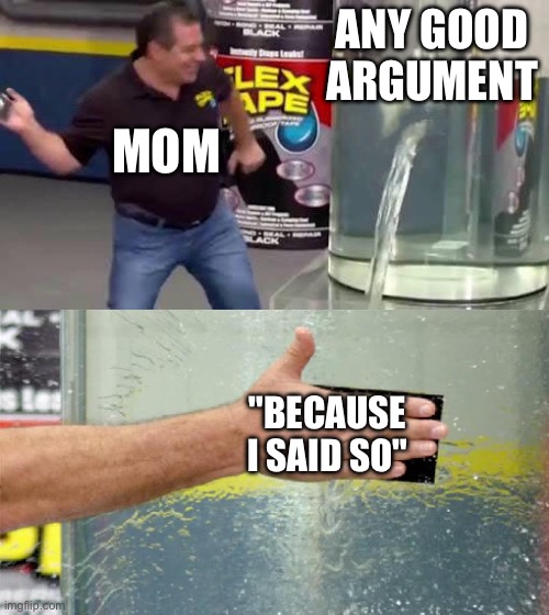 FR THO | ANY GOOD ARGUMENT; MOM; "BECAUSE I SAID SO" | image tagged in flex tape | made w/ Imgflip meme maker