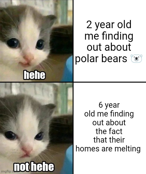 It is very sad | 2 year old me finding out about polar bears 🐻‍❄️; 6 year old me finding out about the fact that their homes are melting | image tagged in cute cat hehe and not hehe | made w/ Imgflip meme maker