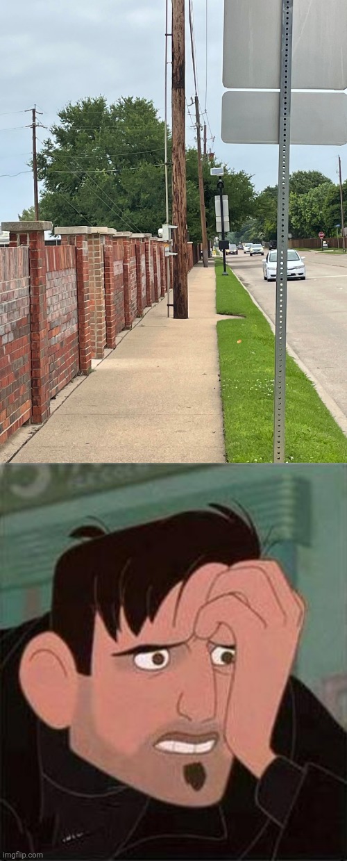 Poles on the sidewalk | image tagged in dean mccoppin,pole,poles,sidewalk,you had one job,memes | made w/ Imgflip meme maker