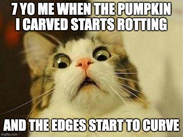 Scared Cat | 7 YO ME WHEN THE PUMPKIN I CARVED STARTS ROTTING; AND THE EDGES START TO CURVE | image tagged in memes,scared cat | made w/ Imgflip meme maker