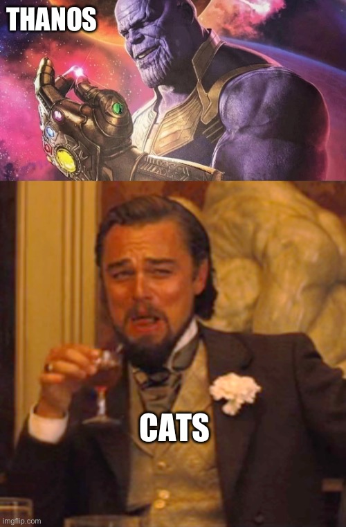 At worst they lose 4 1/2 lives. | THANOS; CATS | image tagged in thanos snap,laughing leo,funny memes,cats,marvel cinematic universe | made w/ Imgflip meme maker