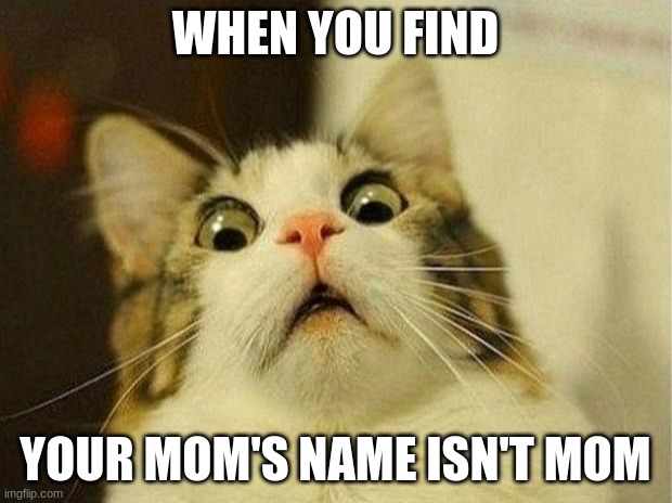 AHHH | WHEN YOU FIND; YOUR MOM'S NAME ISN'T MOM | image tagged in memes,scared cat,funny,funny memes,mom,lol | made w/ Imgflip meme maker