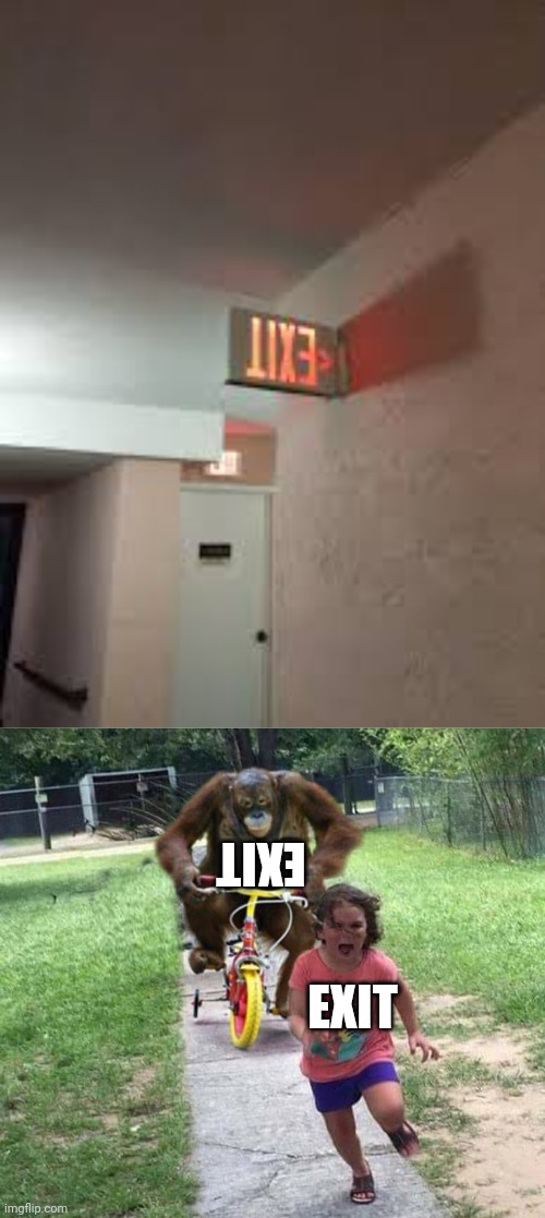 Upside down EXIT | EXIT; EXIT | image tagged in run,exit,memes,upside down,you had one job,sign | made w/ Imgflip meme maker