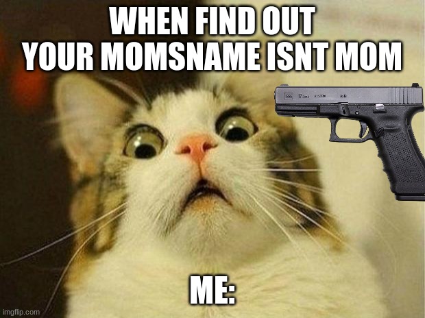 Scared Cat | WHEN FIND OUT YOUR MOMSNAME ISNT MOM; ME: | image tagged in memes,scared cat | made w/ Imgflip meme maker