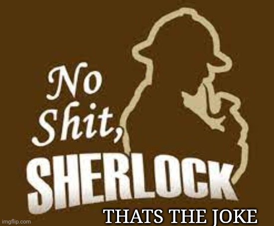 No shit sherlock | THATS THE JOKE | image tagged in no shit sherlock | made w/ Imgflip meme maker