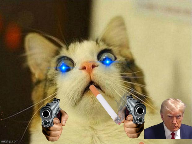 Scared Cat Meme | image tagged in memes,scared cat | made w/ Imgflip meme maker