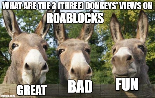 What are the 3 (three) donkeys' views on X | ROABLOCKS; FUN; GREAT; BAD | image tagged in what are the 3 three donkeys' views on x | made w/ Imgflip meme maker