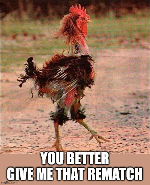 Rooster | YOU BETTER GIVE ME THAT REMATCH | image tagged in rooster | made w/ Imgflip meme maker