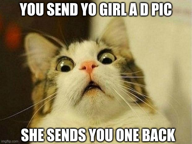 Scared Cat Meme | YOU SEND YO GIRL A D PIC; SHE SENDS YOU ONE BACK | image tagged in memes,scared cat | made w/ Imgflip meme maker
